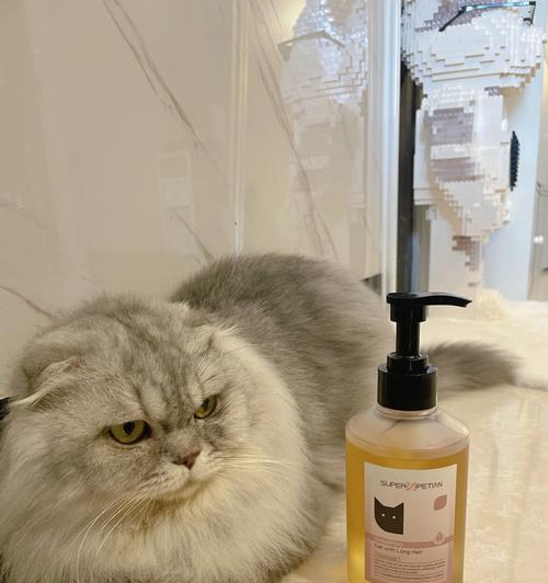 如何减少猫咪掉毛？（选择适合的沐浴露对猫咪的健康有益）