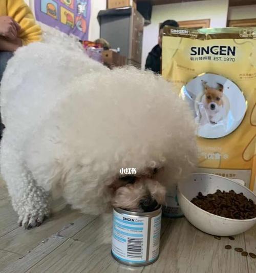 宠物狗补充维生素的必要性（为宠物狗补充维生素，让它们更健康）