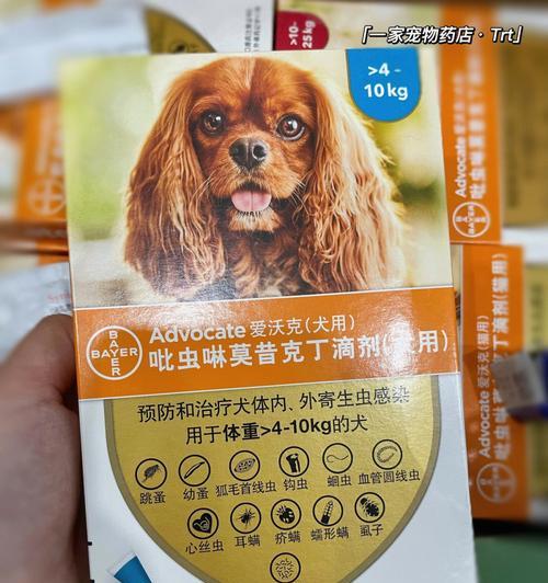 如何帮助宠物狗狗驱除寄生虫（平常不可忽视的狗狗健康保养）
