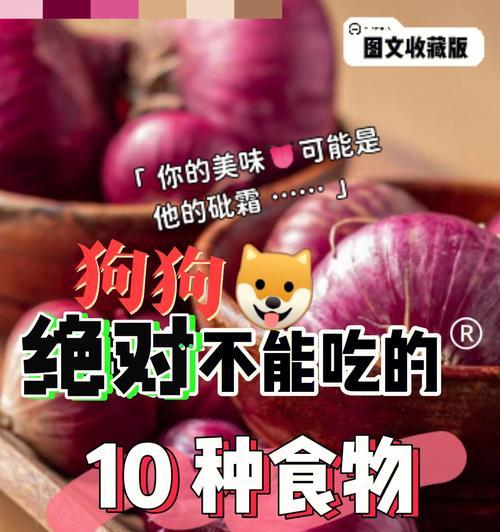 狗狗也能吃的人类食品大公开（以宠物为主，让你的毛孩品尝人类世界的美食！）