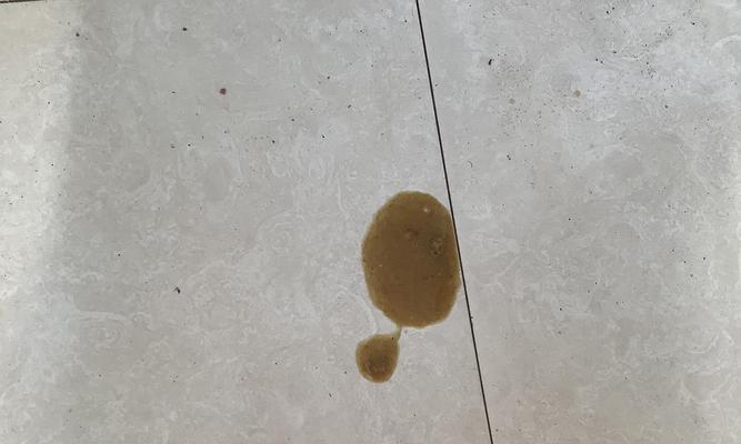 夏天小猫吐东西的颜色是什么？（探究宠物猫在夏季吐出的物质的颜色和原因）