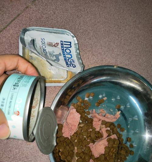 小狗肠胃不好，吃什么容易消化？（为宠物寻找温和易消化的食物）