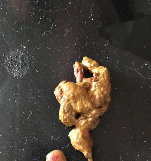 宠物狗为什么会吐出像屎一样的东西？（了解小狗吐出屎状物的原因和应对方法）