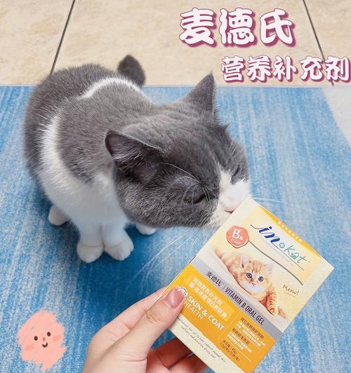 小猫的维生素B需求（为宠物提供充足的营养）