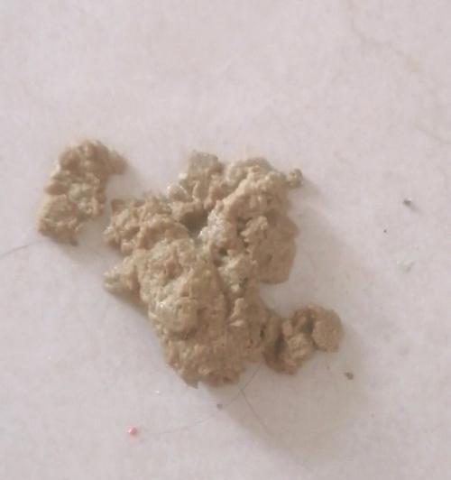 小猫到家四天了拉肚子怎么办？（宠物护理必备——治疗小猫腹泻的正确方法）