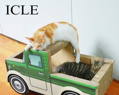 小猫为何喜欢趴在汽车底盘下？（探寻宠物行为学的奥秘）