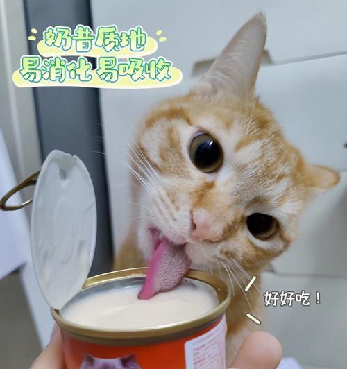 小猫小狗不能吃巧克力的原因（了解为什么宠物不能吃巧克力）