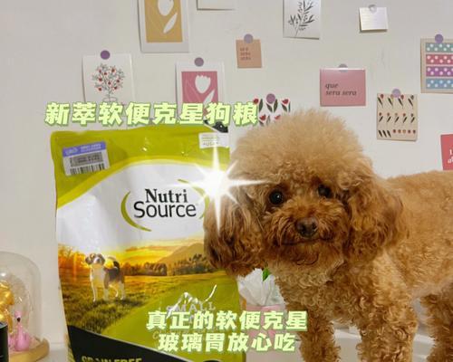 幼犬吃泡软的狗粮的危害（为什么不要给幼犬吃泡软的狗粮？）