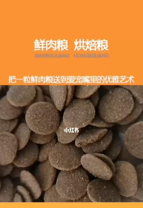 以狗粮蛋白质和脂肪哪个是长肉的（探究宠物狗的饮食结构和营养需求，帮助饲主科学喂养）