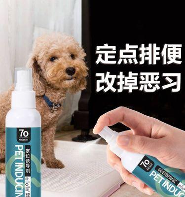 如何训练两个月大的小狗大小便？（宠物训练指南）
