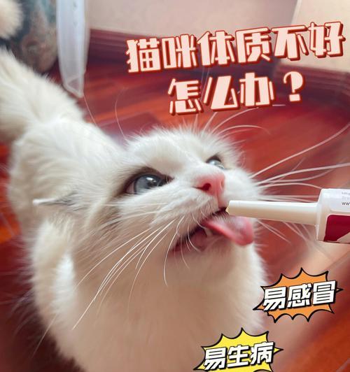 猫咪鼻涕带血，如何应对？（教你如何处理宠物猫咪的鼻涕带血问题）