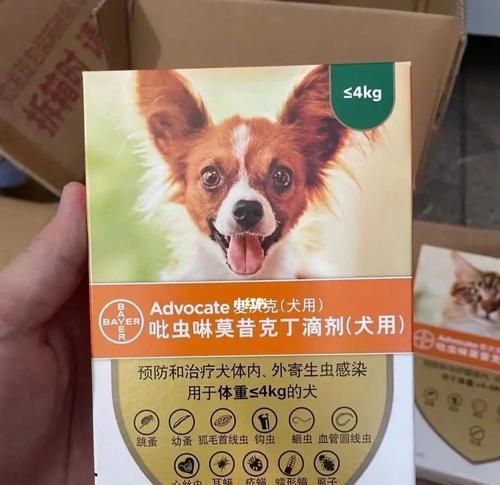 如何给宠物猫咪正确使用打虫药？（用量和注意事项，）