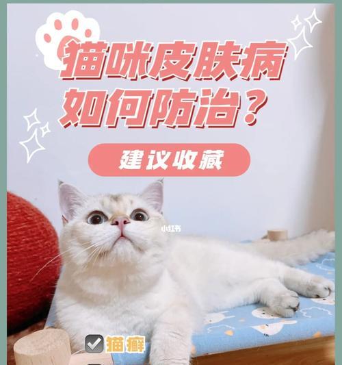 猫咪皮肤病防治指南（宠物主人必看，让你的猫咪远离皮肤病）