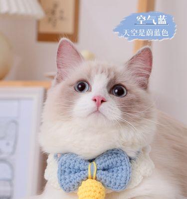 猫咪为什么会叼猫仔？（揭秘猫咪叼猫仔的原因和必要性）