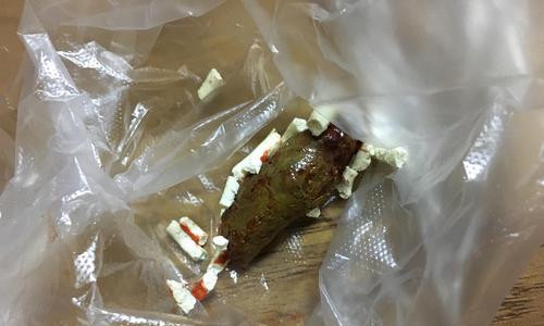猫咪感染钩虫该怎么办？（教你如何预防和治疗钩虫感染）