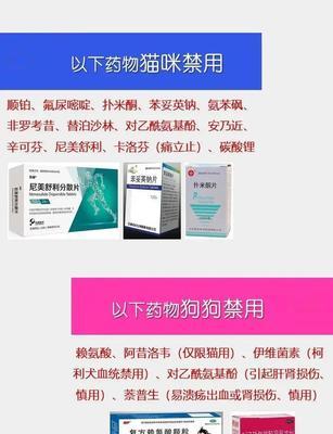 如何为发烧的猫咪选择合适的退烧药（猫咪发烧不退？这些药物效果）