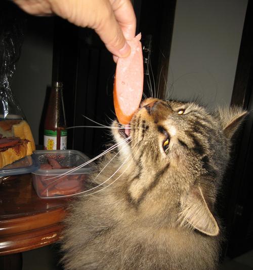 猫咪吃香肠的正确方式（以宠物为主，让猫咪健康成长）
