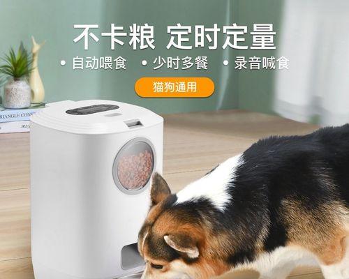 如何科学地喂养一只5斤的狗狗（掌握正确的喂养方法让狗狗健康成长）