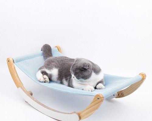 用旧衣服diy一款舒适的猫咪吊床（给你的宠物打造一个充满爱心的小空间，让它安心睡觉）