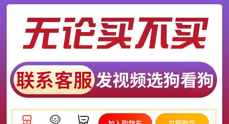 探秘阿拉斯加红色幼犬的独特血统（以宠物为主的幼犬品种，红色幼犬的魅力）