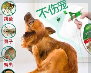 解密宠物常见寄生虫——长蜱虫（以阿拉斯加犬为例，了解长蜱虫的危害和预防方法）