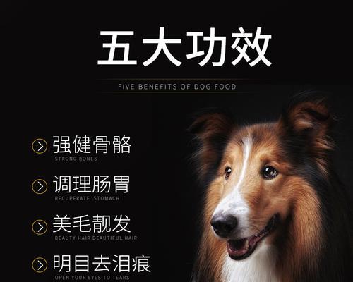 爱宠必备（以营养为核心，助力宠物健康）