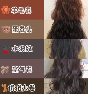 八字泰迪卷刘海的日常护理方法（打造可爱萌宠，让八字泰迪更健康）