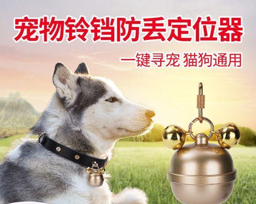 怎样防止把宠物送去丢失？（如何避免宠物流浪街头、让宠物有归宿？）