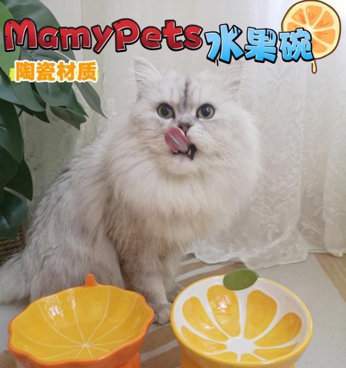 俩月小猫的水果饮食指南（以宠物为主）