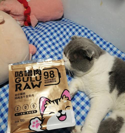 两个月大猫咪的营养饮食（探究小猫咪的饮食需求）