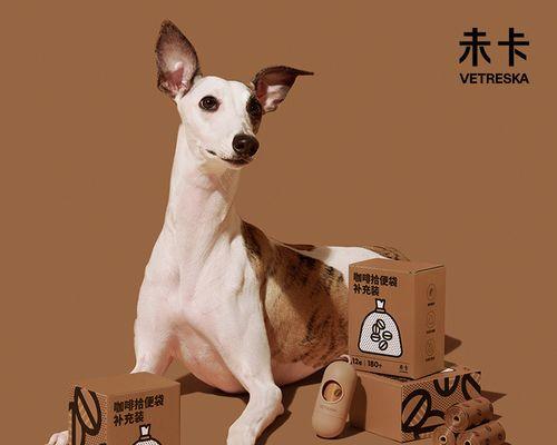小狗两个月便便排泄情况详解（了解宠物健康从观察小狗便便开始）