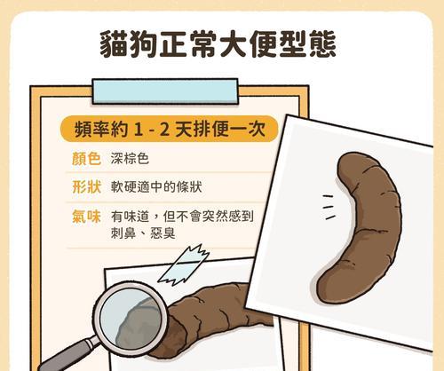如何处理六个月狗狗软便（宠物健康小贴士）