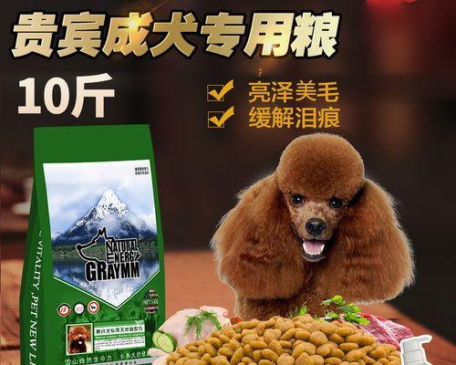 如何合理喂养六个月大的泰迪狗（掌握喂狗粮的技巧）