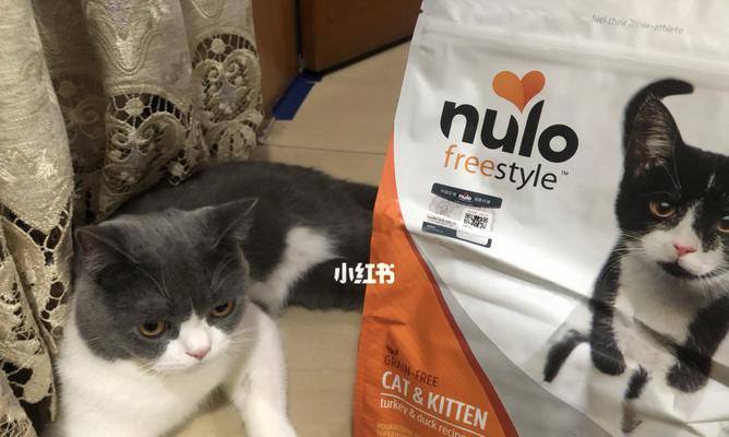 满月小猫的全猫粮饮食秘诀（以宠物为主）