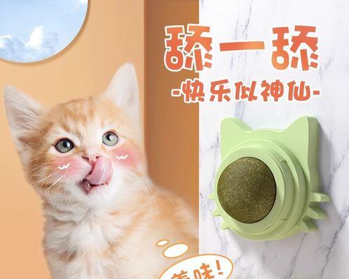 猫薄荷对小猫咪的危害大吗（保护宠物）