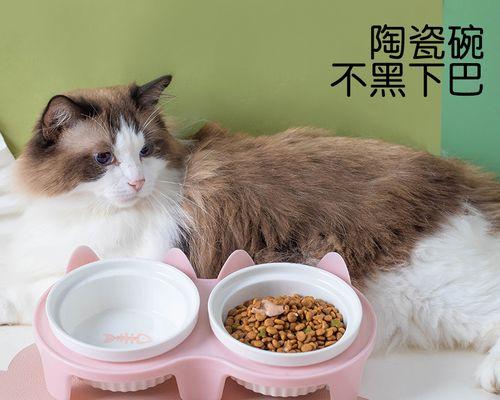 如何妥善处理不要养的猫（宠物的责任与义务）