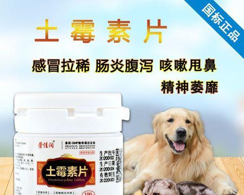 猫得肠胃炎，如何调理饮食（以宠物为主）
