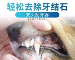猫的结石病（宠物爱好者必读的健康知识）