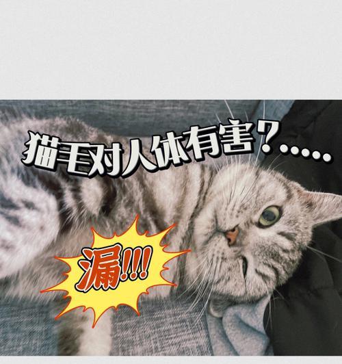 如何预防和处理宠物猫毛吸入肺（千万别小瞧宠物猫毛）