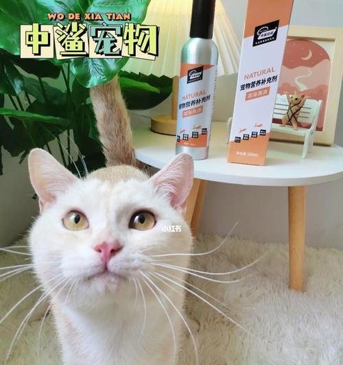 如何打理和修剪宠物猫的毛（让您的猫咪更加美丽健康）