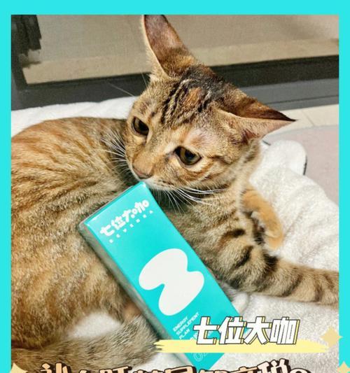 猫的血红蛋白正常值及重要性（宠物猫健康指标之一）