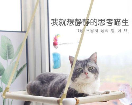 猫妈妈的咬蹬之爱（探寻猫妈妈对小猫的爱与管教方式）