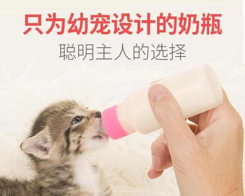 猫妈妈的爱——宝宝成长篇（以猫妈妈生宝宝的经验谈）