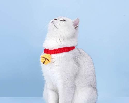 揭秘猫猫叫的真正含义（从宠物角度分析猫咪语言行为）
