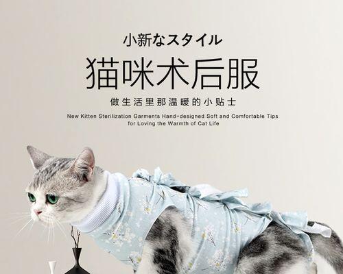 揭秘猫猫叫的真正含义（从宠物角度分析猫咪语言行为）