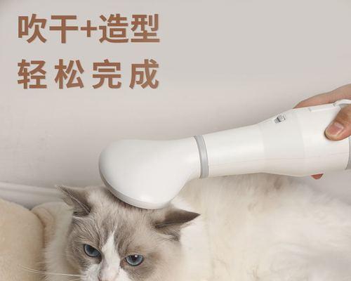 用猫毛做成小猫的神奇艺术（以宠物为主的创意手工制作）