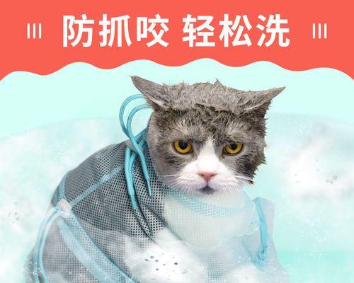 宠物猫生产中小猫被压死的原因（探究母猫在生产过程中压死小猫的可能性）