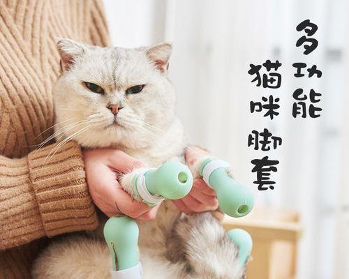 猫妈妈生小猫后开始乱拉，该如何应对（以宠物为主）