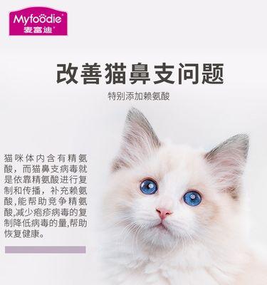 猫咪生产的三个阶段、帮助猫咪顺利产子的小技巧（猫咪生产的三个阶段）