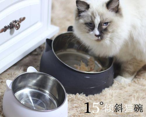 猫咪生产的三个阶段、帮助猫咪顺利产子的小技巧（猫咪生产的三个阶段）